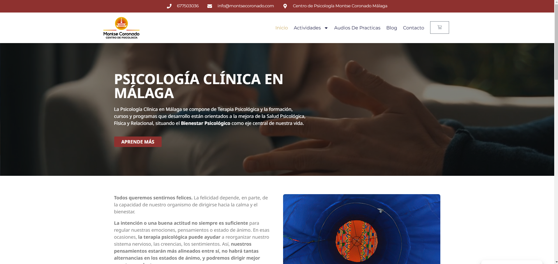 E-commerce de Montse Coronado