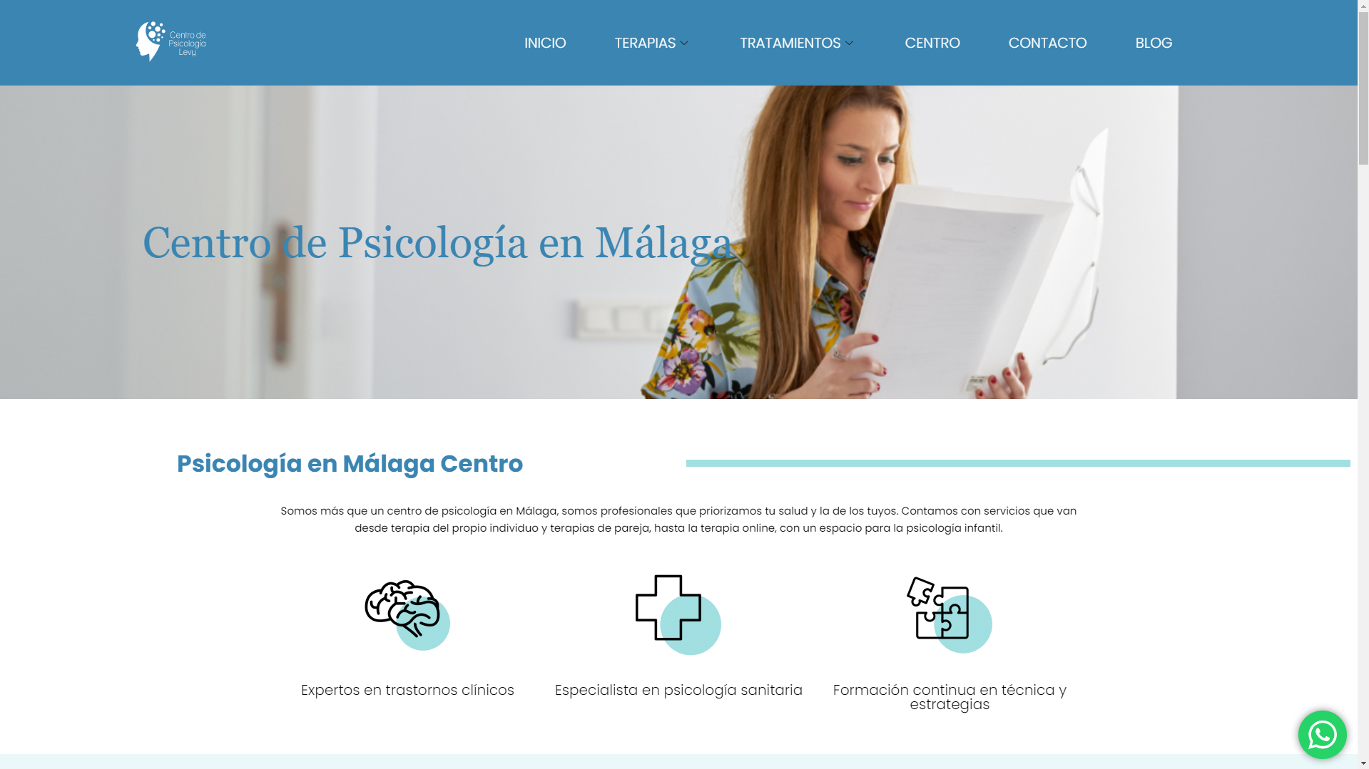Web Centro de Psicología Levy